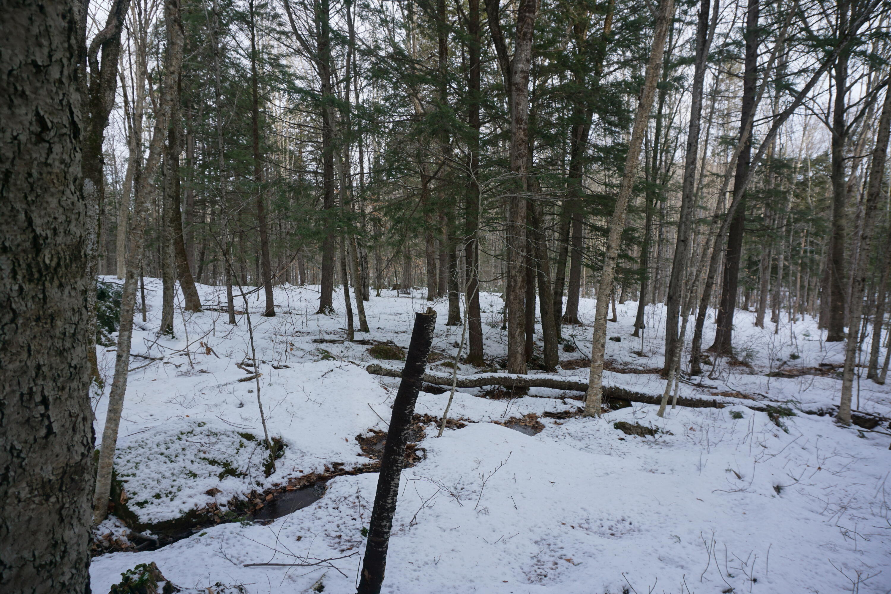 M13-l18a-2 Redding Road Bryant Pond, ME 04219 - Photo 18 of 29 DSC04787