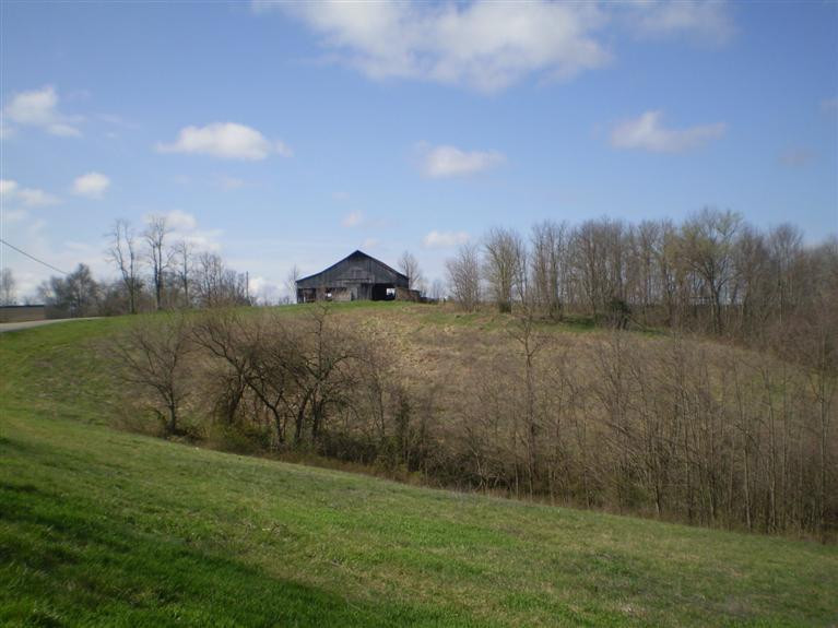 Gallery Image 7