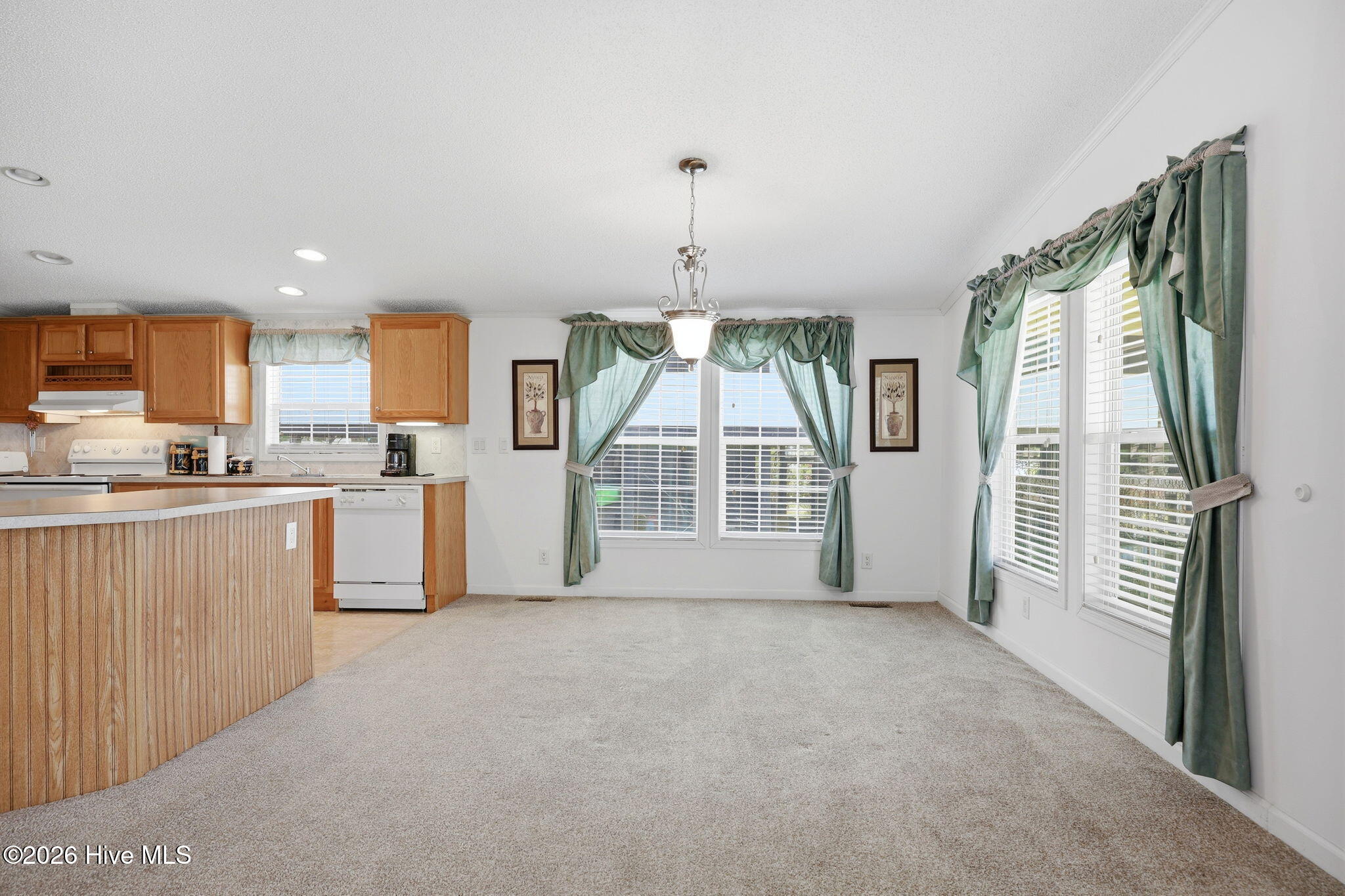 185 Barnes-foster Loop Road Belhaven, NC 27810 - Photo 11 of 52 31-web-or-mls-IMG_0017