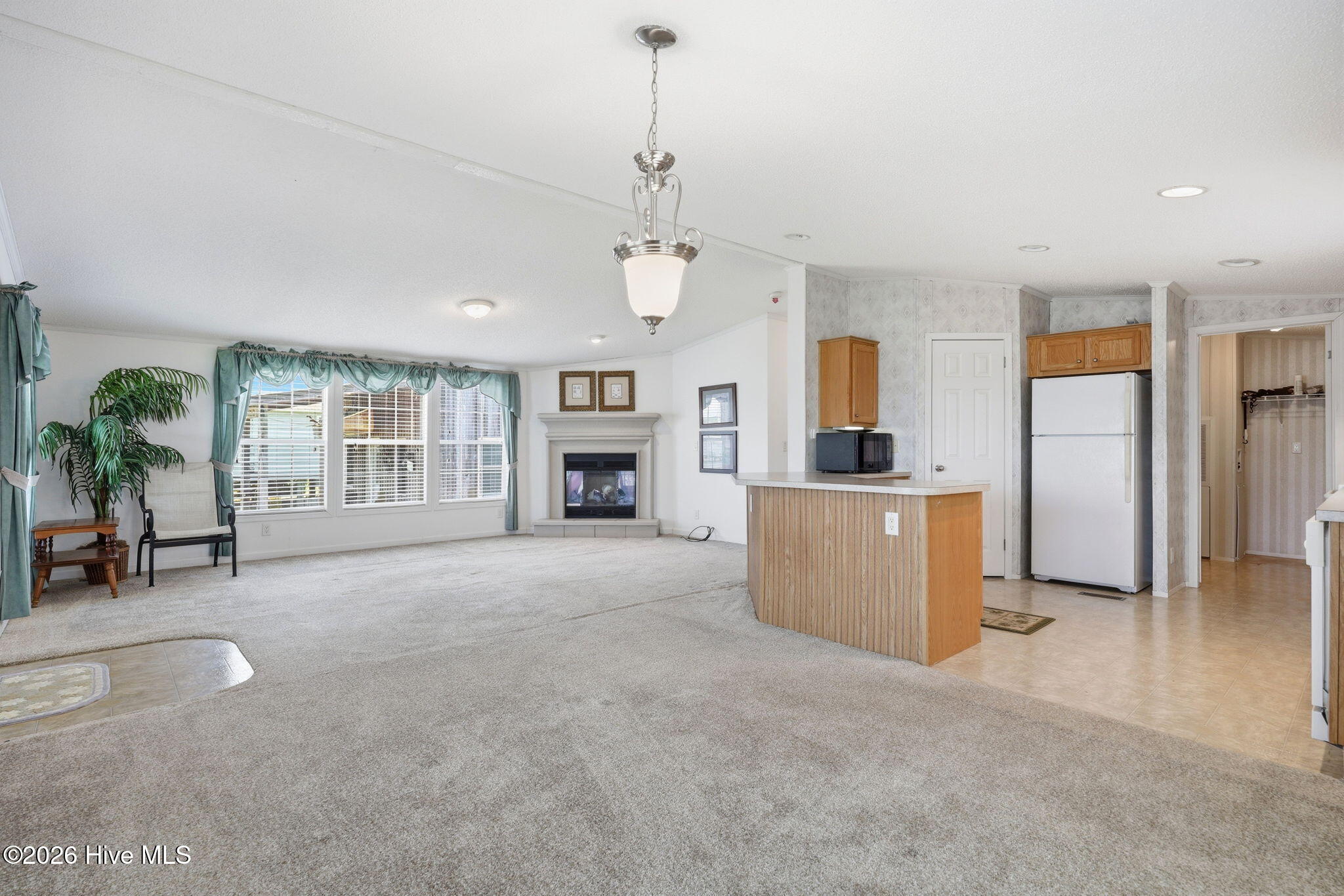 185 Barnes-foster Loop Road Belhaven, NC 27810 - Photo 12 of 52 33-web-or-mls-IMG_0023