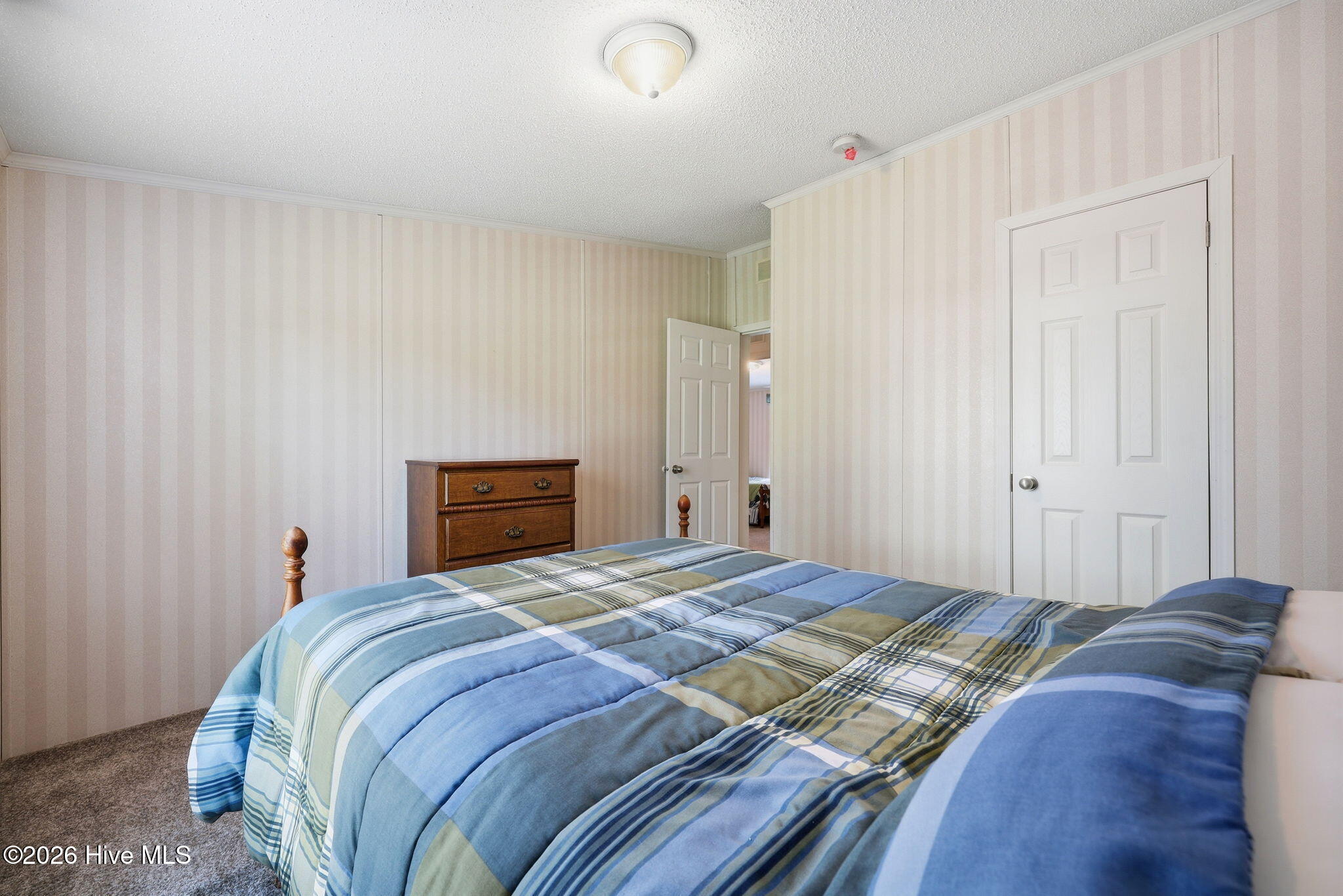 185 Barnes-foster Loop Road Belhaven, NC 27810 - Photo 23 of 52 46-web-or-mls-IMG_0065