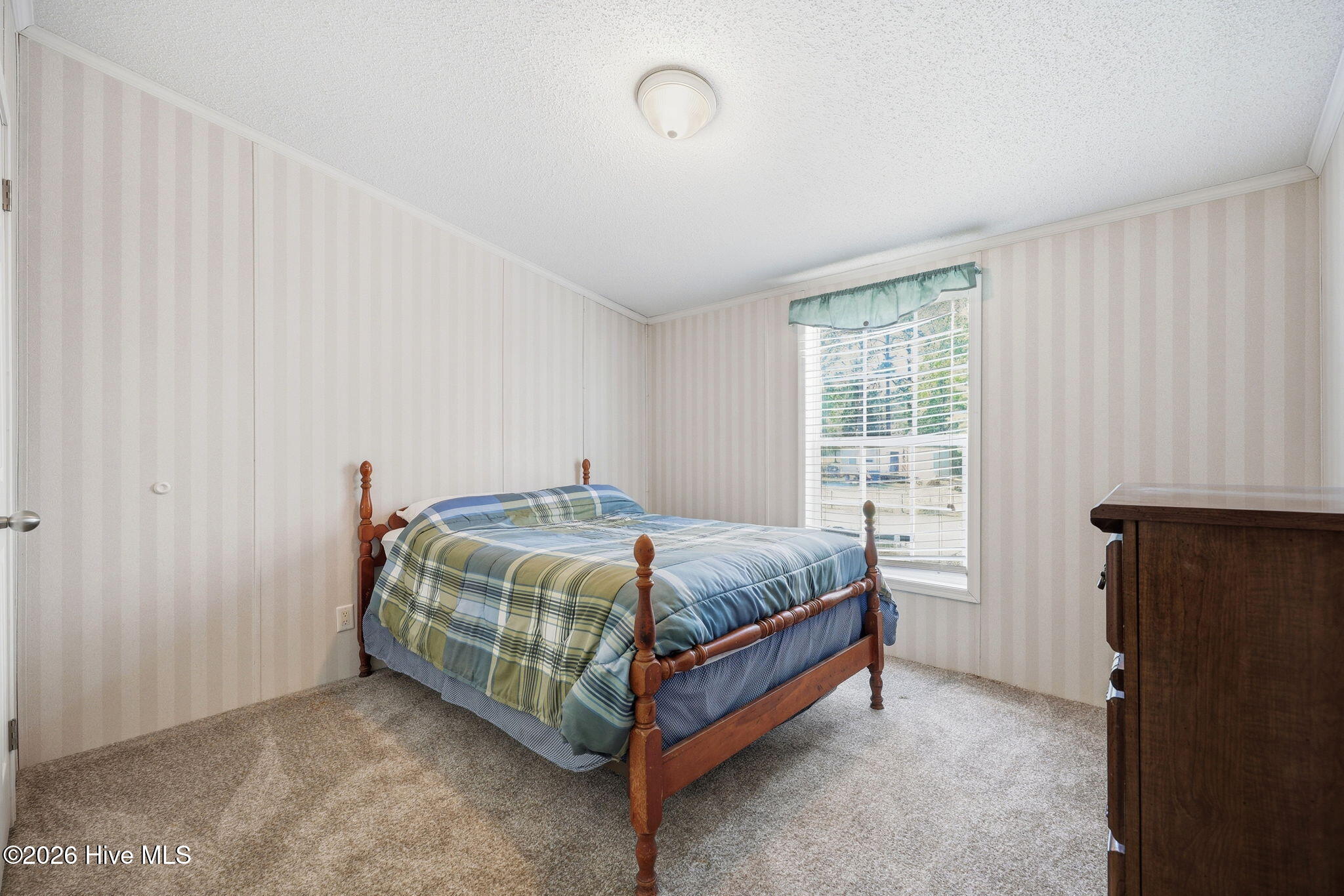 185 Barnes-foster Loop Road Belhaven, NC 27810 - Photo 25 of 52 44-web-or-mls-IMG_0059