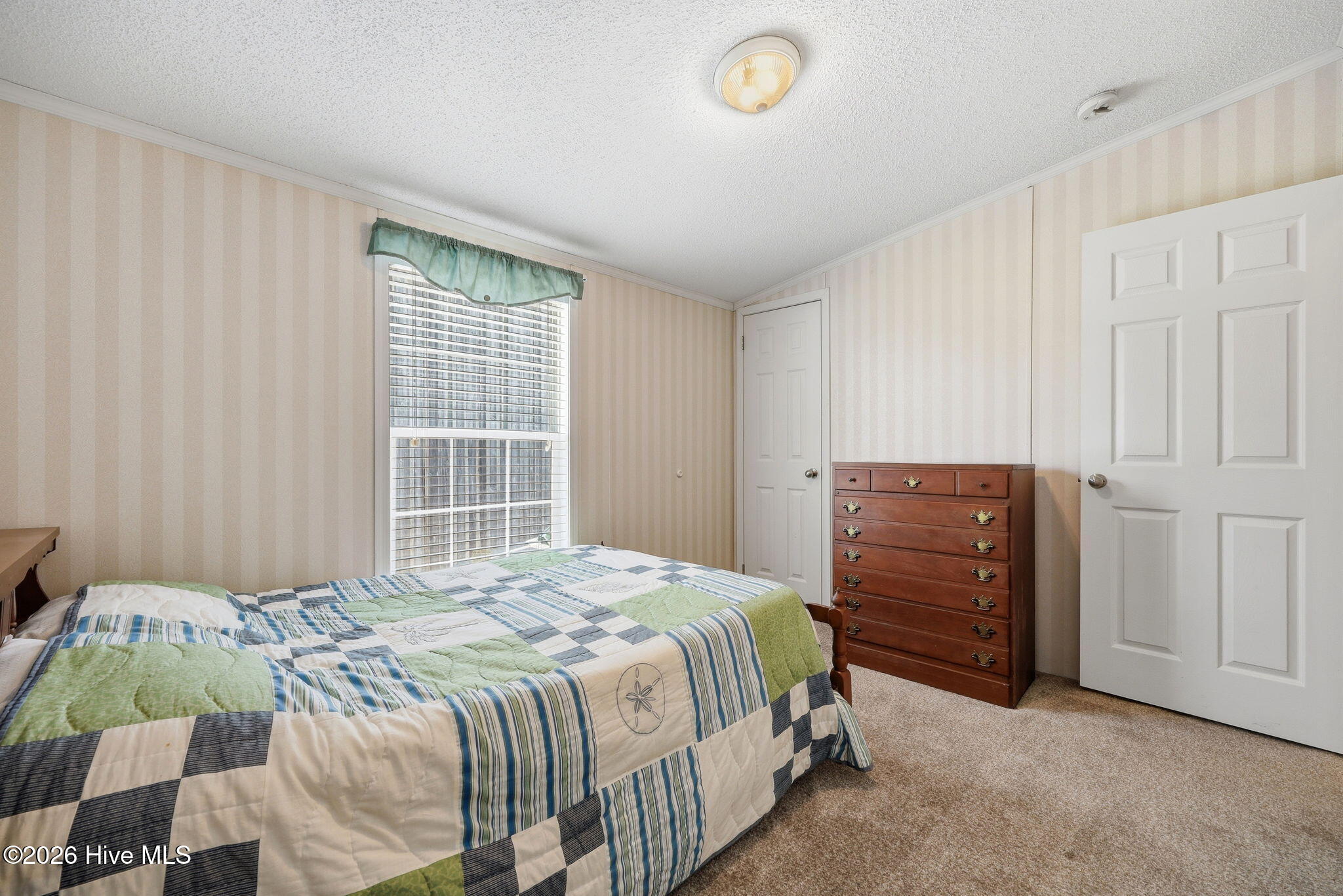 185 Barnes-foster Loop Road Belhaven, NC 27810 - Photo 27 of 52 42-web-or-mls-IMG_0053