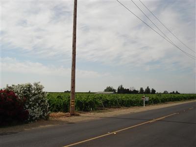 0 Mccall Del Rey, CA 93616 - Photo 1 of 13 Gallery Image 1