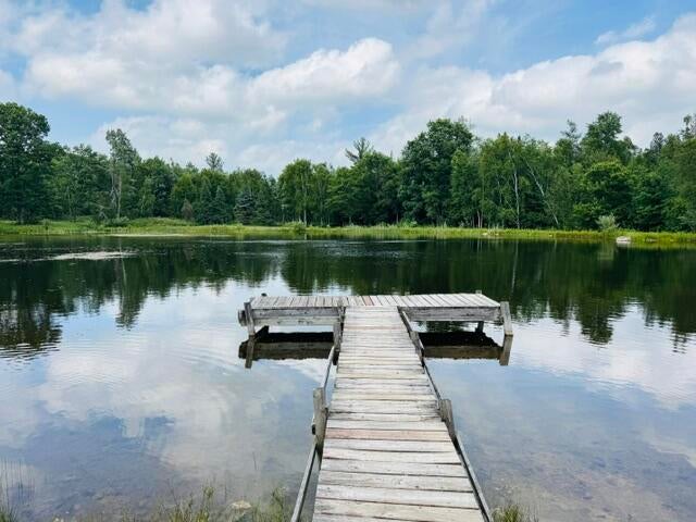 11001 Little George Lake Road Gladwin, MI 48624 - Photo 3 of 45