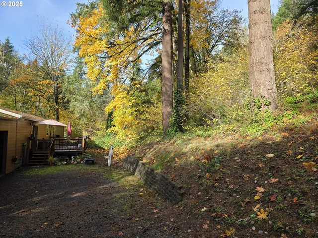 a view of outdoor space and yard