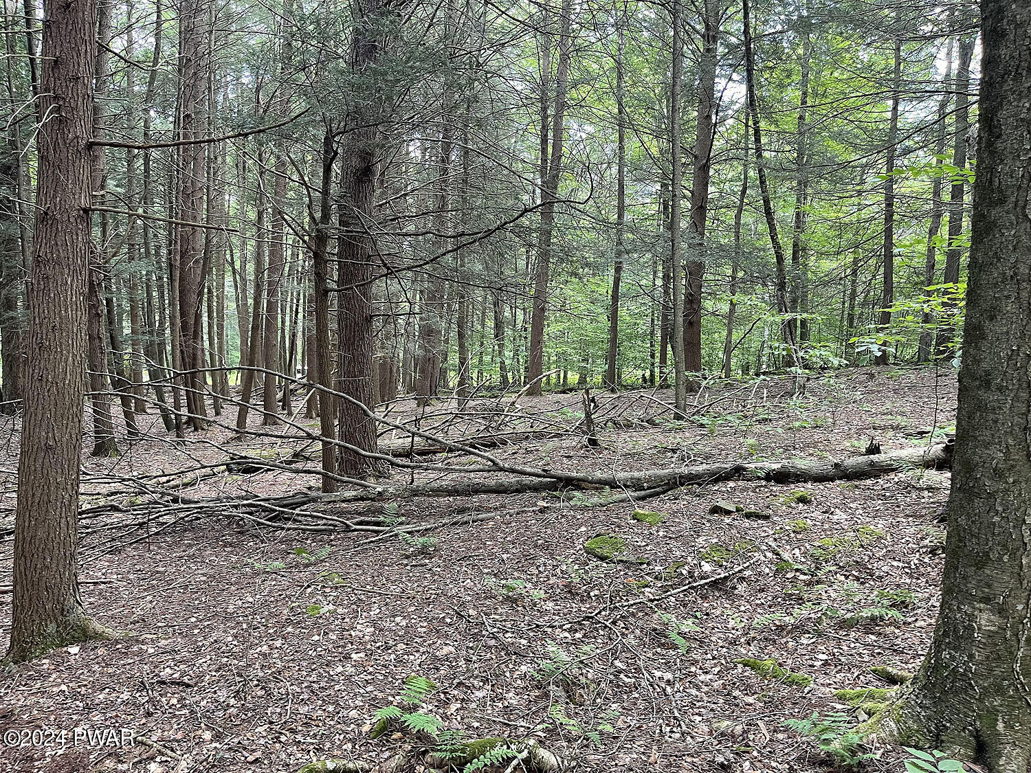 0 Rotten Road Equinunk, PA 18417 - Photo 14 of 20