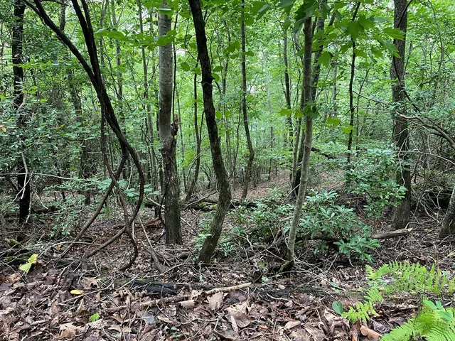 $10,000 | 12-13a Brasstown Hts Lane, Brasstown, NC 28902