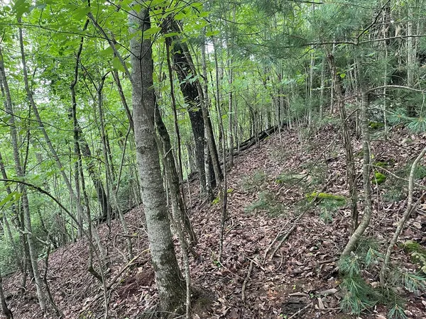 $10,000 | 12-13a Brasstown Hts Lane, Brasstown, NC 28902