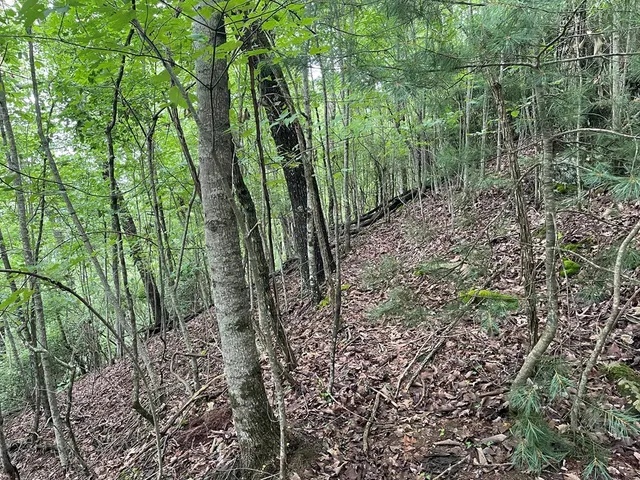 $10,000 | 12-13a Brasstown Hts Lane, Brasstown, NC 28902