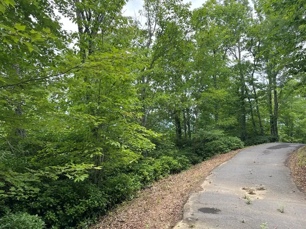 $10,000 | 12-13a Brasstown Hts Lane, Brasstown, NC 28902