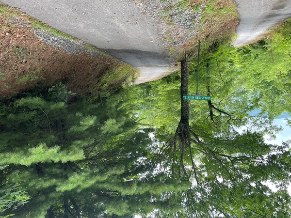 $10,000 | 12-13a Brasstown Hts Lane, Brasstown, NC 28902