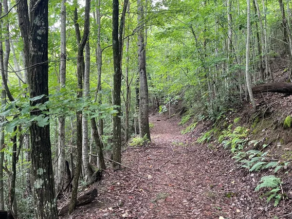 $10,000 | 12-13a Brasstown Hts Lane, Brasstown, NC 28902