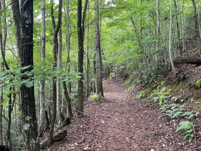 $10,000 | 12-13a Brasstown Hts Lane, Brasstown, NC 28902