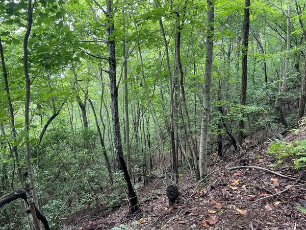 $10,000 | 12-13a Brasstown Hts Lane, Brasstown, NC 28902