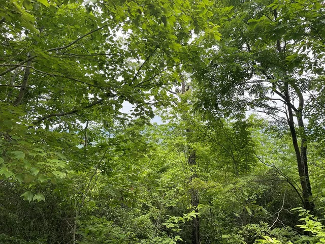 $10,000 | 12-13a Brasstown Hts Lane, Brasstown, NC 28902