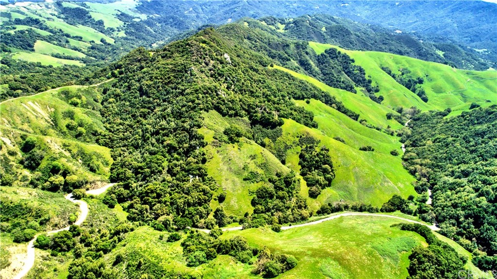 0 Old Creek Road Cayucos, CA 93430 - Photo 2 of 14 a view of a garden