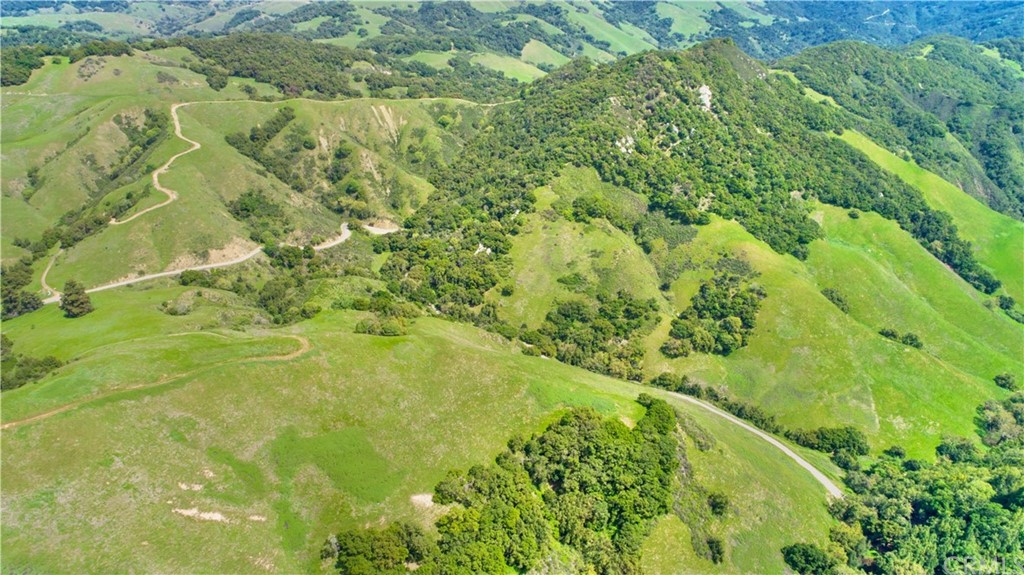 0 Old Creek Road Cayucos, CA 93430 - Photo 10 of 14 a view of a yard