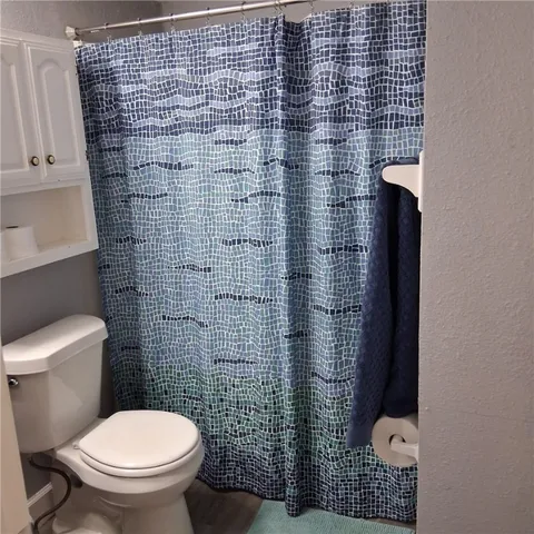 a bathroom with a toilet and a shower curtain