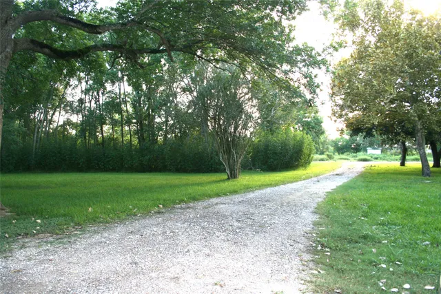 a view of a yard with a large trees