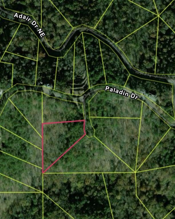 335 Packet Court Ranger, GA 30734 - Photo 3 of 21