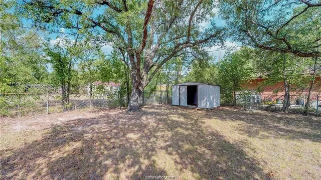 a view of a backyard with plants and large tree