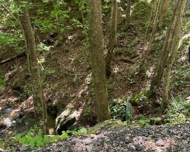 1121 Oglethorpe Mountain Trail Jasper, GA 30143 - Photo 1 of 1