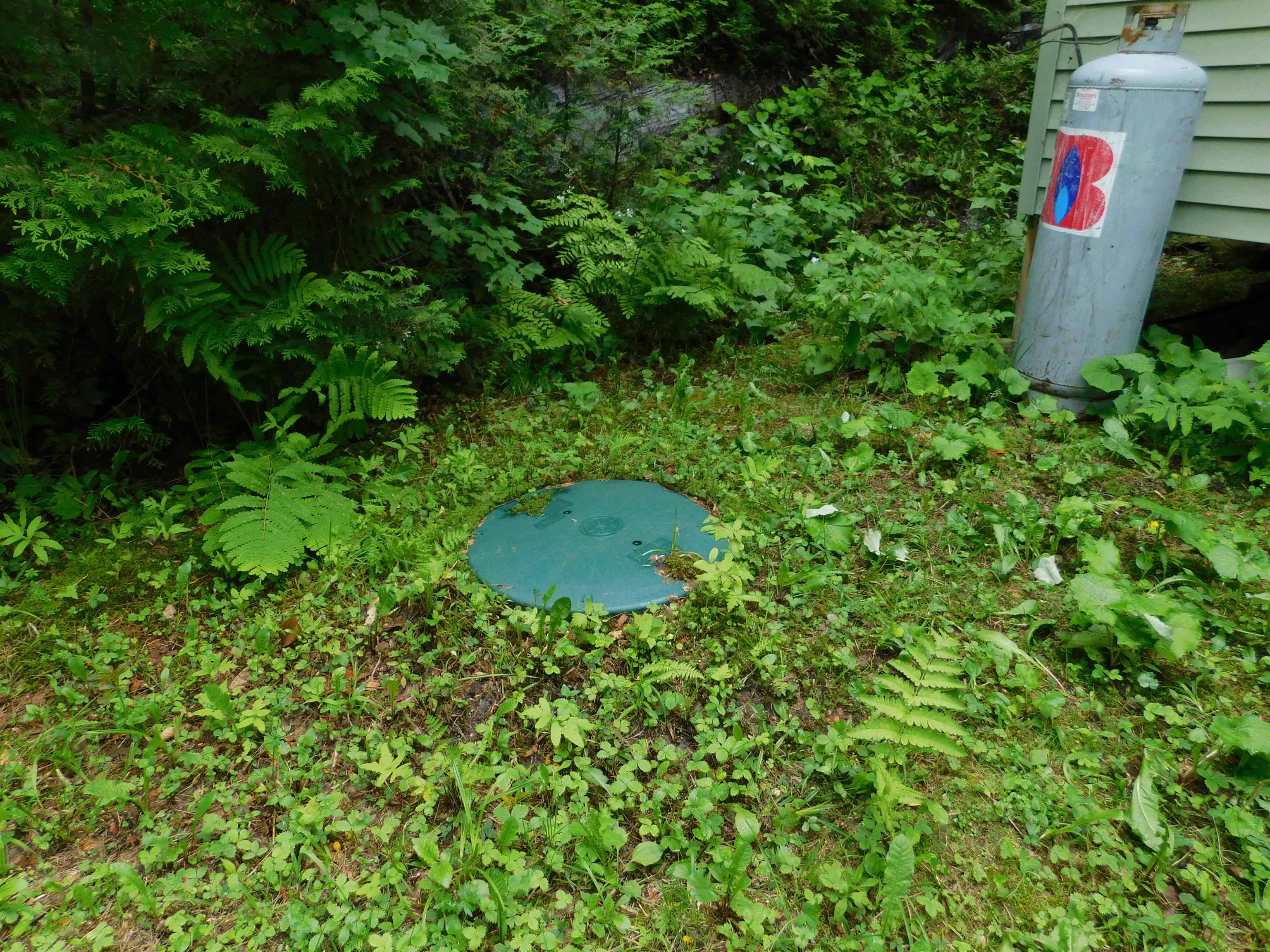 258 Loon Lake Road Woodbury, VT 05647 - Photo 29 of 34