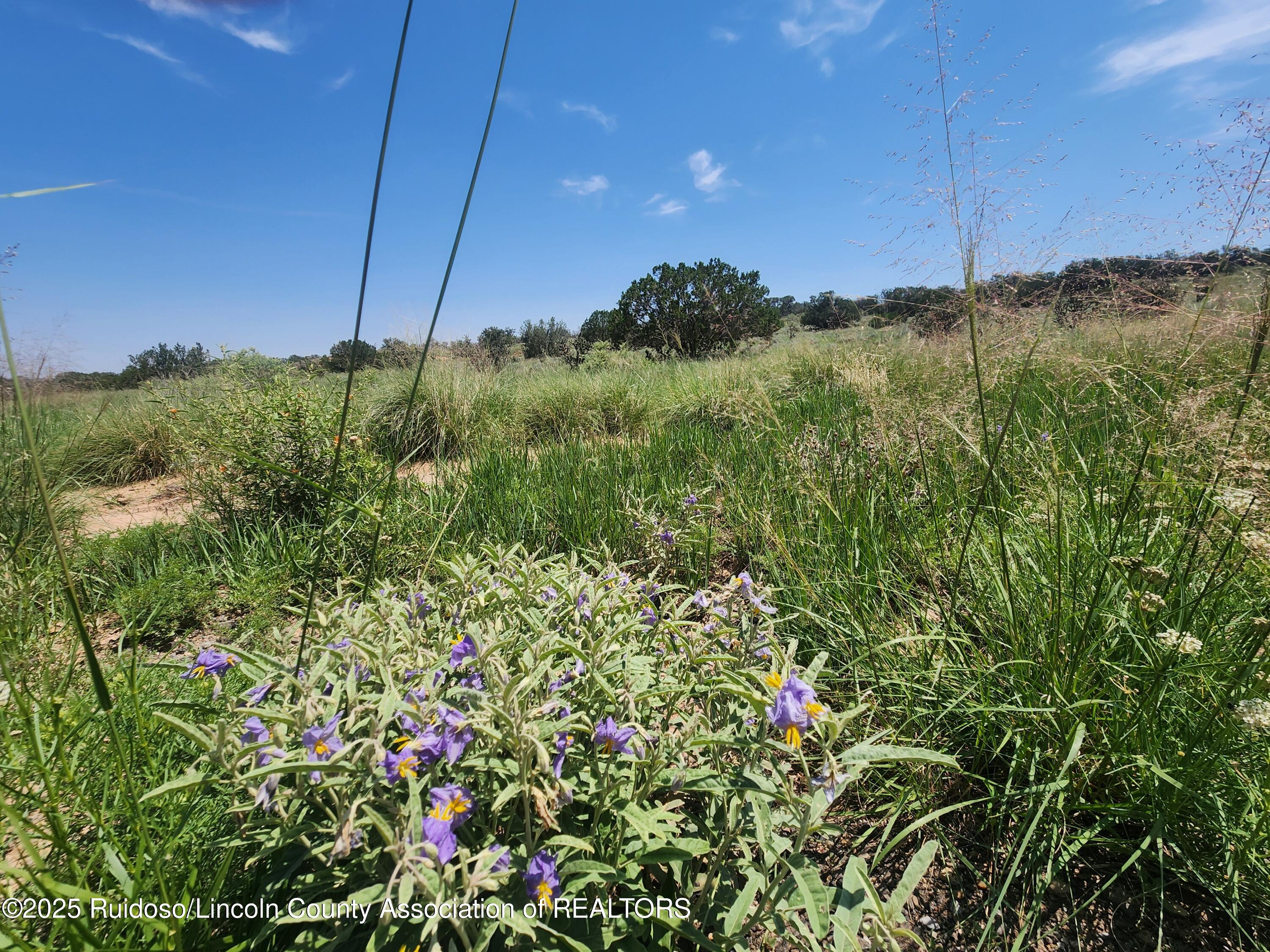 312 Windmill Road Carrizozo, NM 88301 - Photo 66 of 70 Gallery Image 66