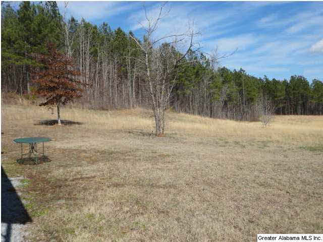 12962 Gallant Road Gallant, AL 35972 - Photo 27 of 32