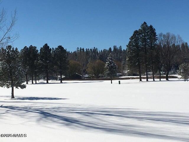 17550 South Munds Ranch Road, Unit 300 Munds Park, AZ 86017 - Photo 26 of 29 snowy Munds