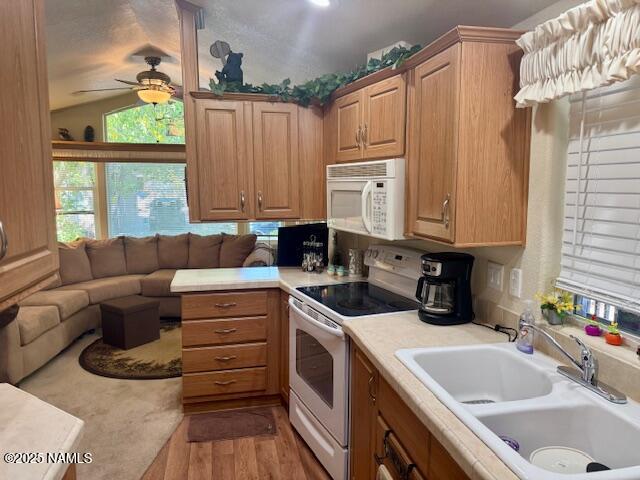 17550 South Munds Ranch Road, Unit 300 Munds Park, AZ 86017 - Photo 7 of 29 IMG_4859