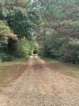$5,000 | 0 Wildwood Drive, Lumberton, MS 39455