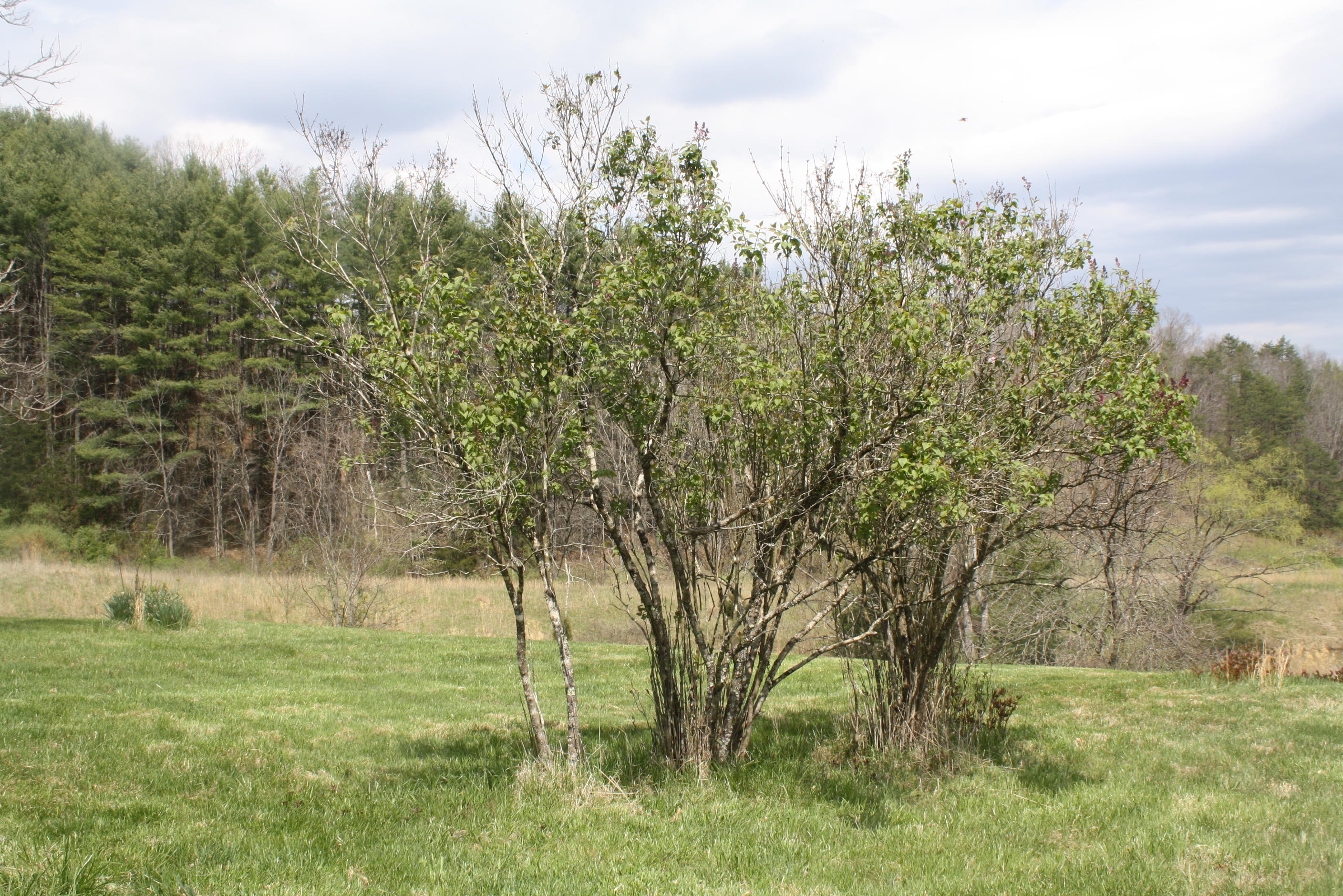 722 East Woodrumtown Road Hinton, WV 25951 - Photo 78 of 145 Gallery Image 78