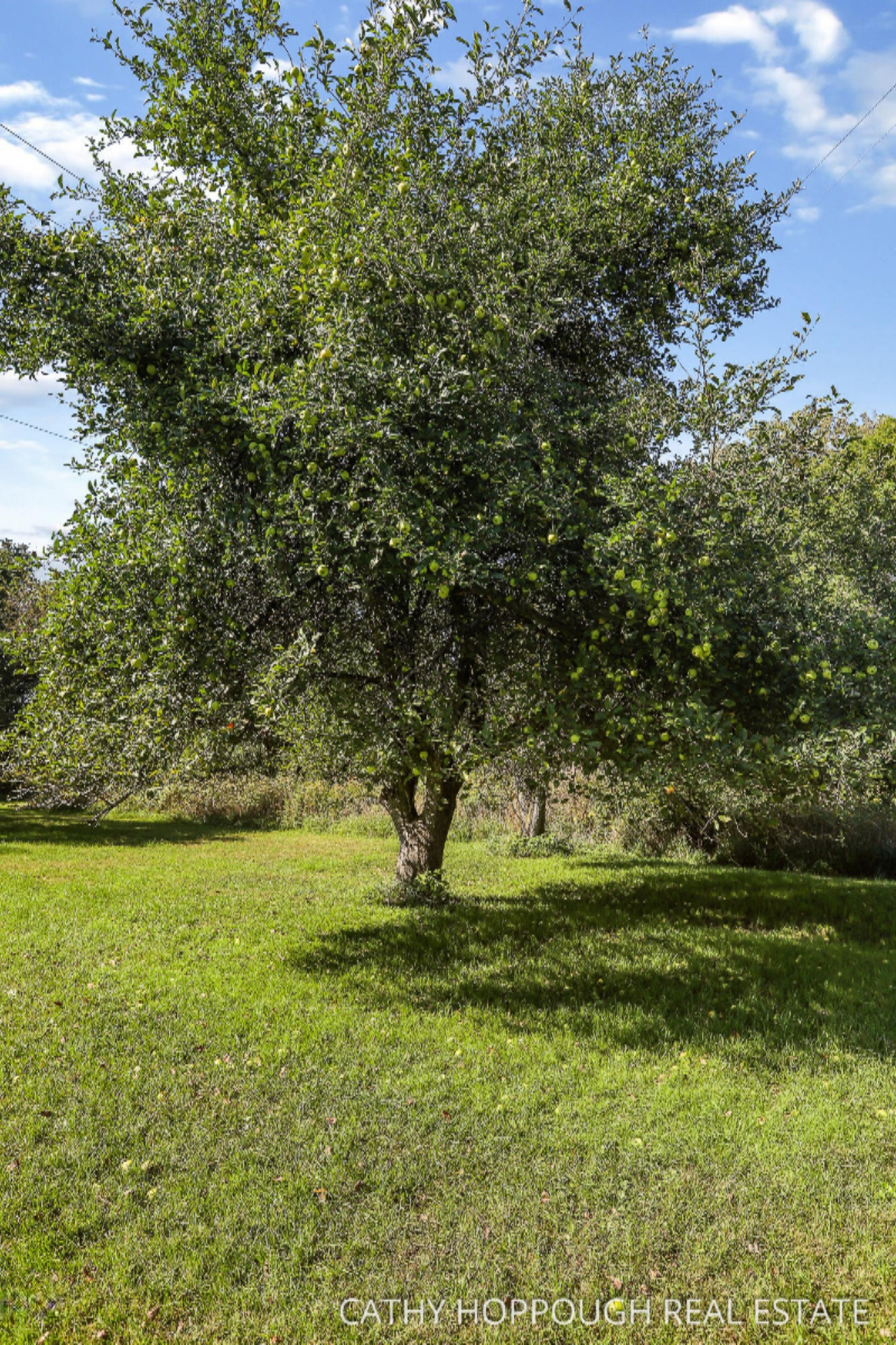 4899 Stage Road Ionia, MI 48846 - Photo 52 of 56 4899 Stage Rd, Ionia (Finished)-37