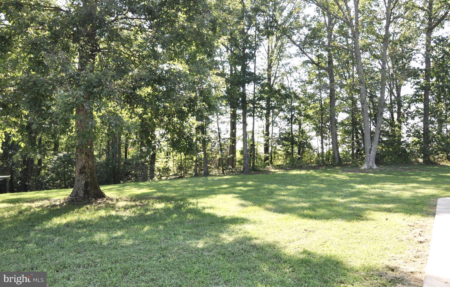 14335 Concord Road Ruther Glen, VA 22546 - Photo 14 of 30 Gallery Image 14
