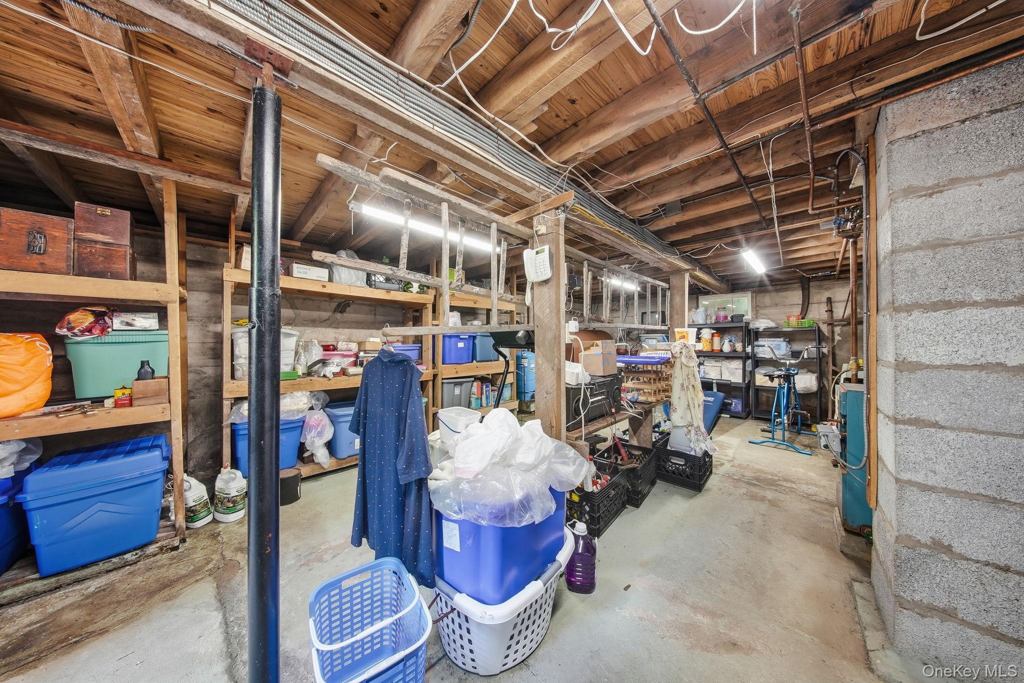 10 Hoffman Road Hankins, NY 12741 - Photo 28 of 46 Lower level storage
