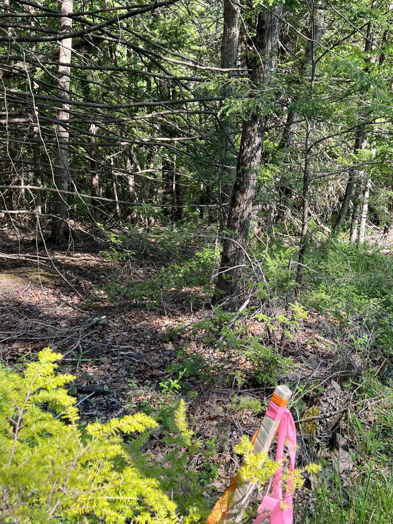 0 Curtis Ridge, Unit LOT 15B Eliot, ME 03903 - Photo 5 of 7 IMG_1136