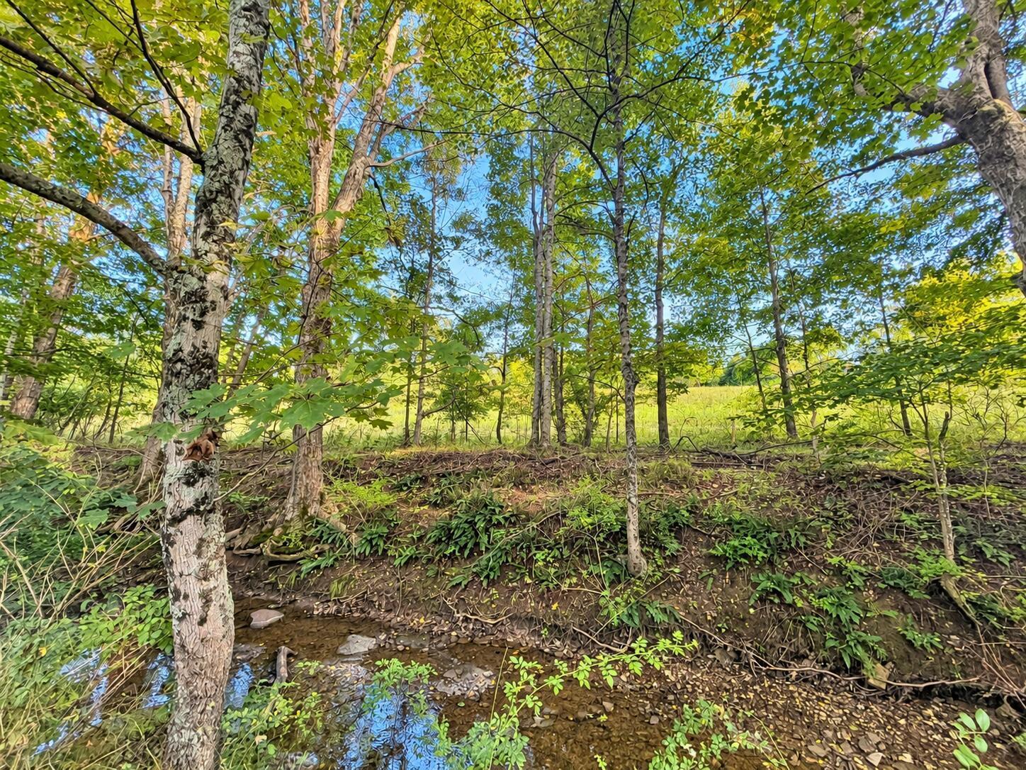 0 Colgin Road, Unit 800795 000 Howard, OH 43028 - Photo 2 of 5 5 creek
