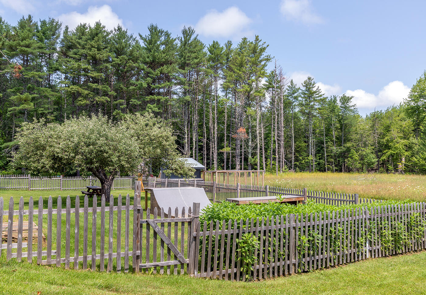 925 Barnestown Road Hope, ME 04847 - Photo 50 of 62 IMG_5084