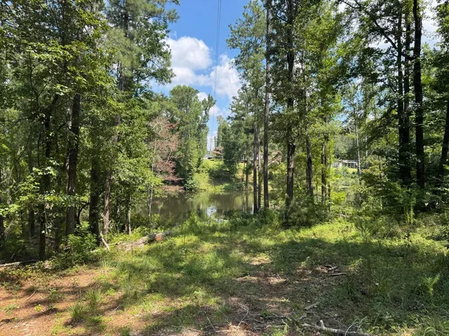 $125,000 | 0 Hummingbird Drive, Trenton, SC 29847