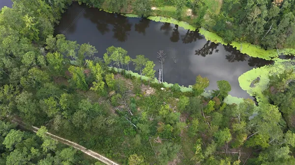 $100,000 | 0 Hummingbird Drive, Trenton, SC 29847