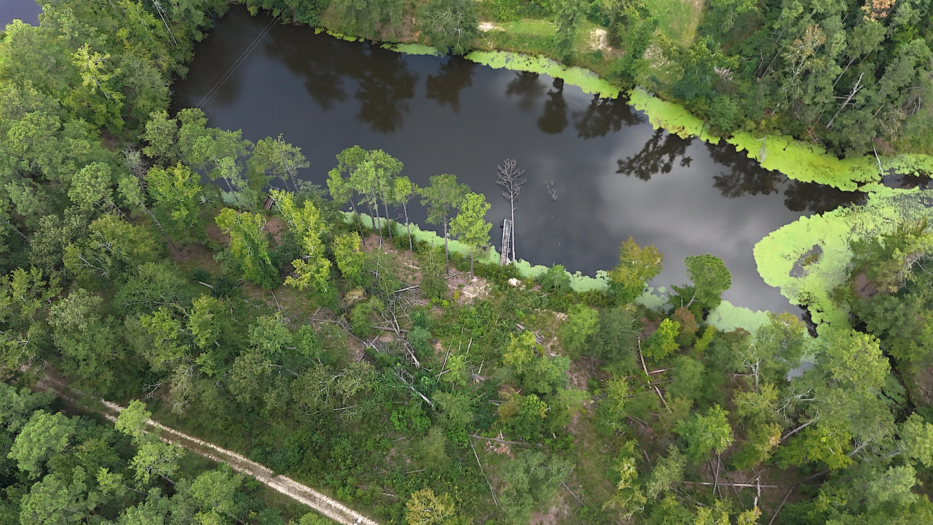 0 Hummingbird Drive Trenton, SC 29847 - Photo 1 of 14 DJI_20250831131849_0358_D