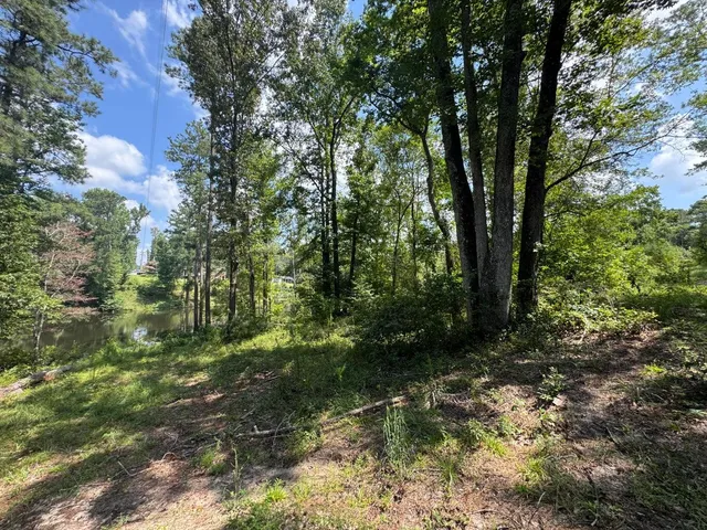 $100,000 | 0 Hummingbird Drive, Trenton, SC 29847