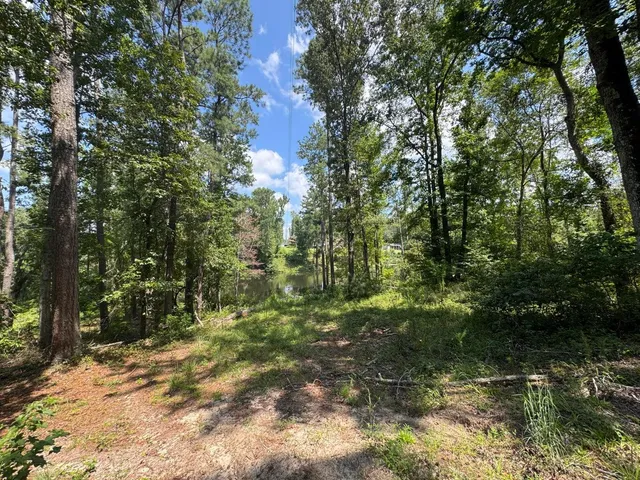 $100,000 | 0 Hummingbird Drive, Trenton, SC 29847