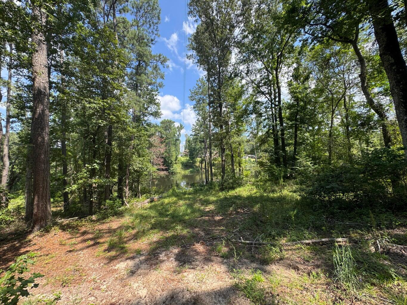 0 Hummingbird Drive Trenton, SC 29847 - Photo 13 of 14 20250819001949190770000000-o