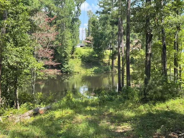 $100,000 | 0 Hummingbird Drive, Trenton, SC 29847