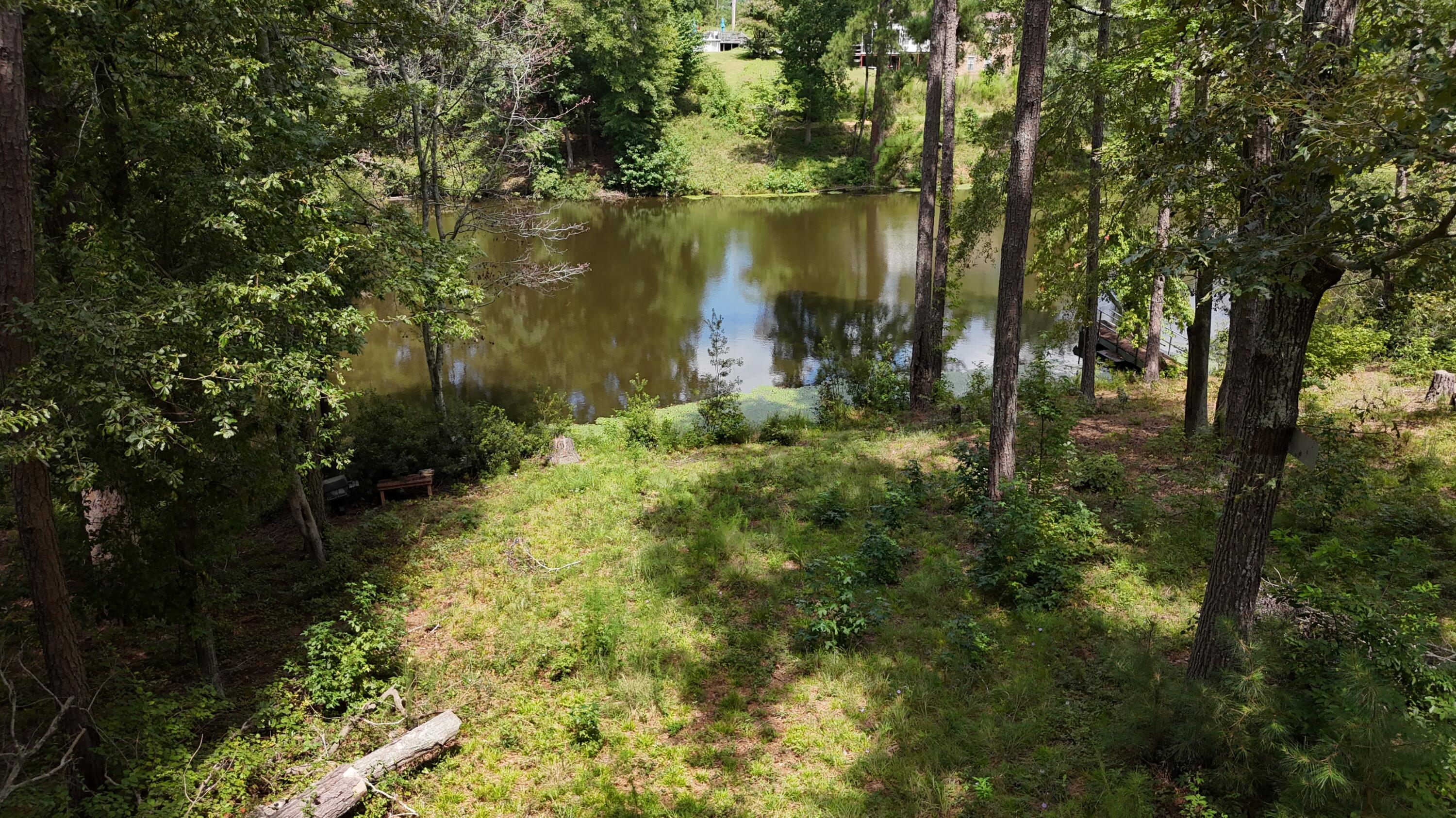 0 Hummingbird Drive Trenton, SC 29847 - Photo 2 of 14 DJI_20250831132516_0365_D