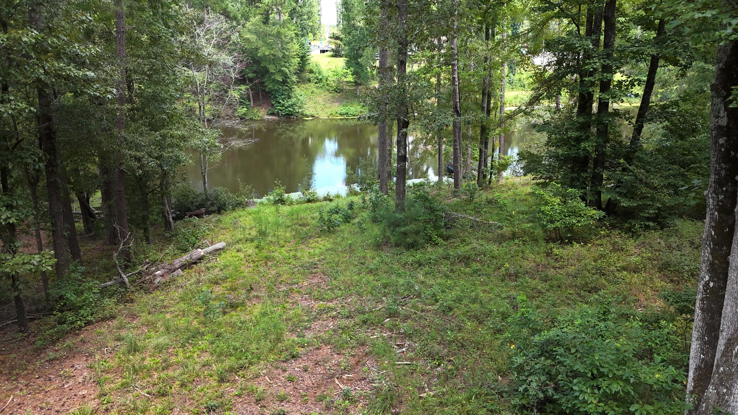 0 Hummingbird Drive Trenton, SC 29847 - Photo 3 of 14 DJI_20250831132356_0363_D