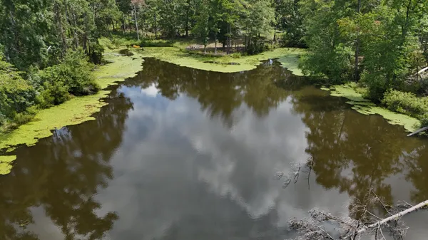 $100,000 | 0 Hummingbird Drive, Trenton, SC 29847